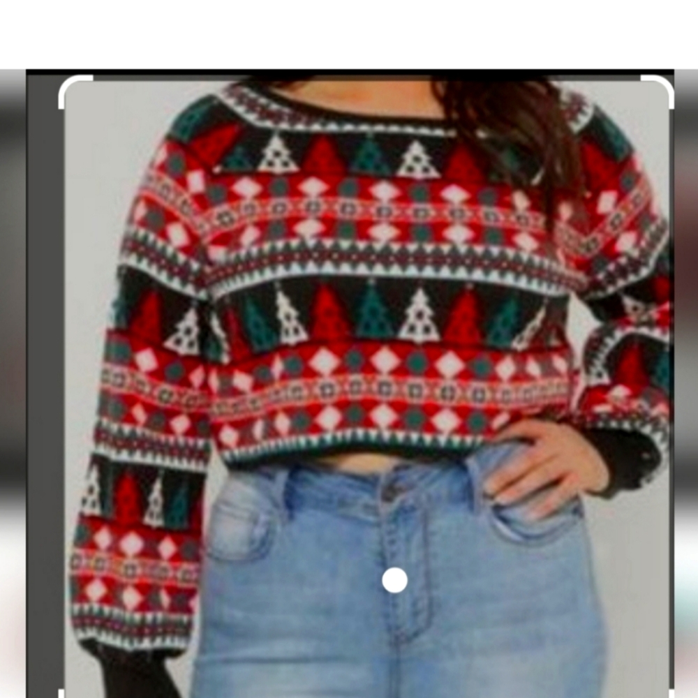 NWOT CROP SWEATER